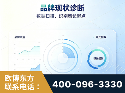 白山-品牌现状诊断